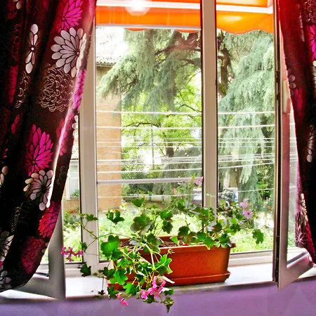 Jolly Center Hotel Tirana